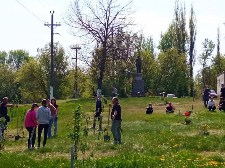 Высадка деревьев в Сквере Памяти. Высадка деревьев в Сквере Памяти.